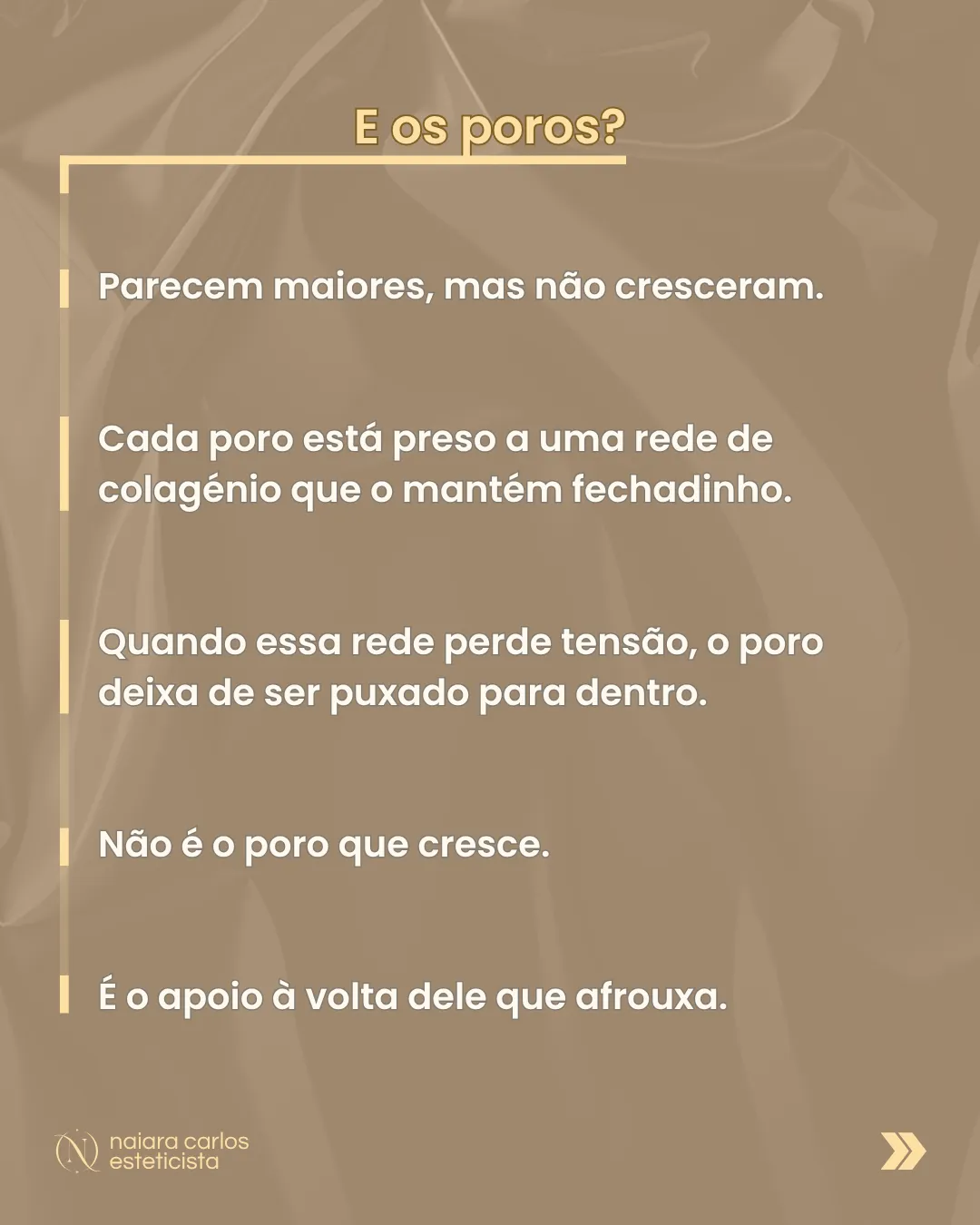 Slide de texto sobre fundo de seda: os poros parecem maiores mas não cresceram, porque cada poro está preso a uma rede de colagénio que afrouxa, e não é o poro que cresce, é o apoio à volta dele